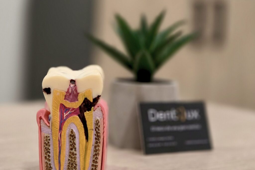 dentista en las tablas